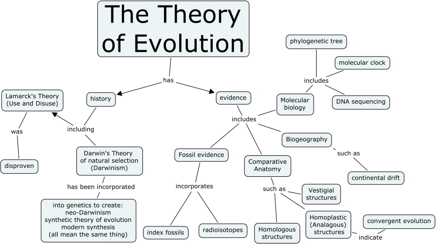 Theory Evolution Theory Evolution Concept Map
