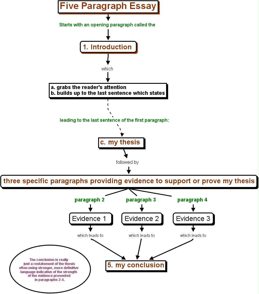 Online buyology essay 02 picture