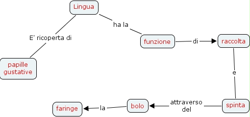Mappe Sistema Digerente Libro Di Scuola