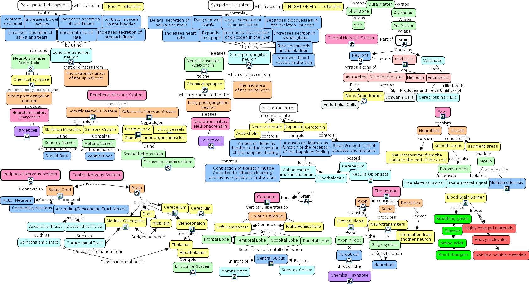IHMC CmapTools - Concept Map :: Anna2