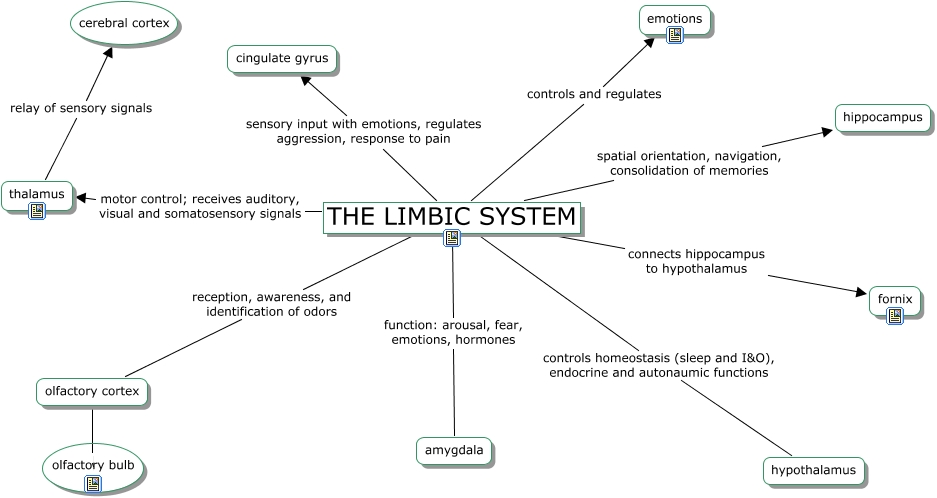 RING-Limbic system