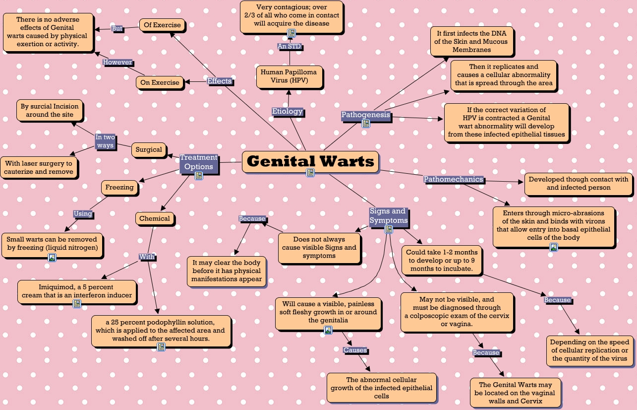 Genital Warts A Conceptual Guide to Genital Warts in Athletics