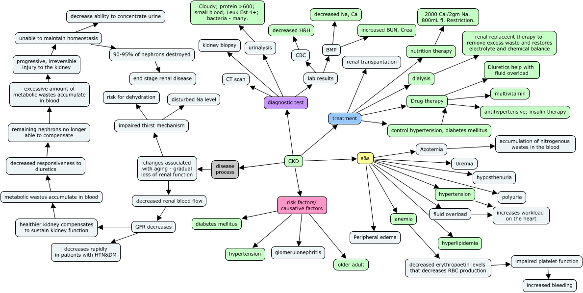 Concept Map Renal Failure Pathophysiology