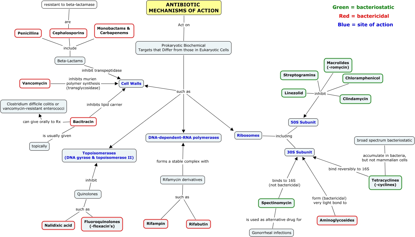Antibiotic Mechanisms of Action Mindmap
