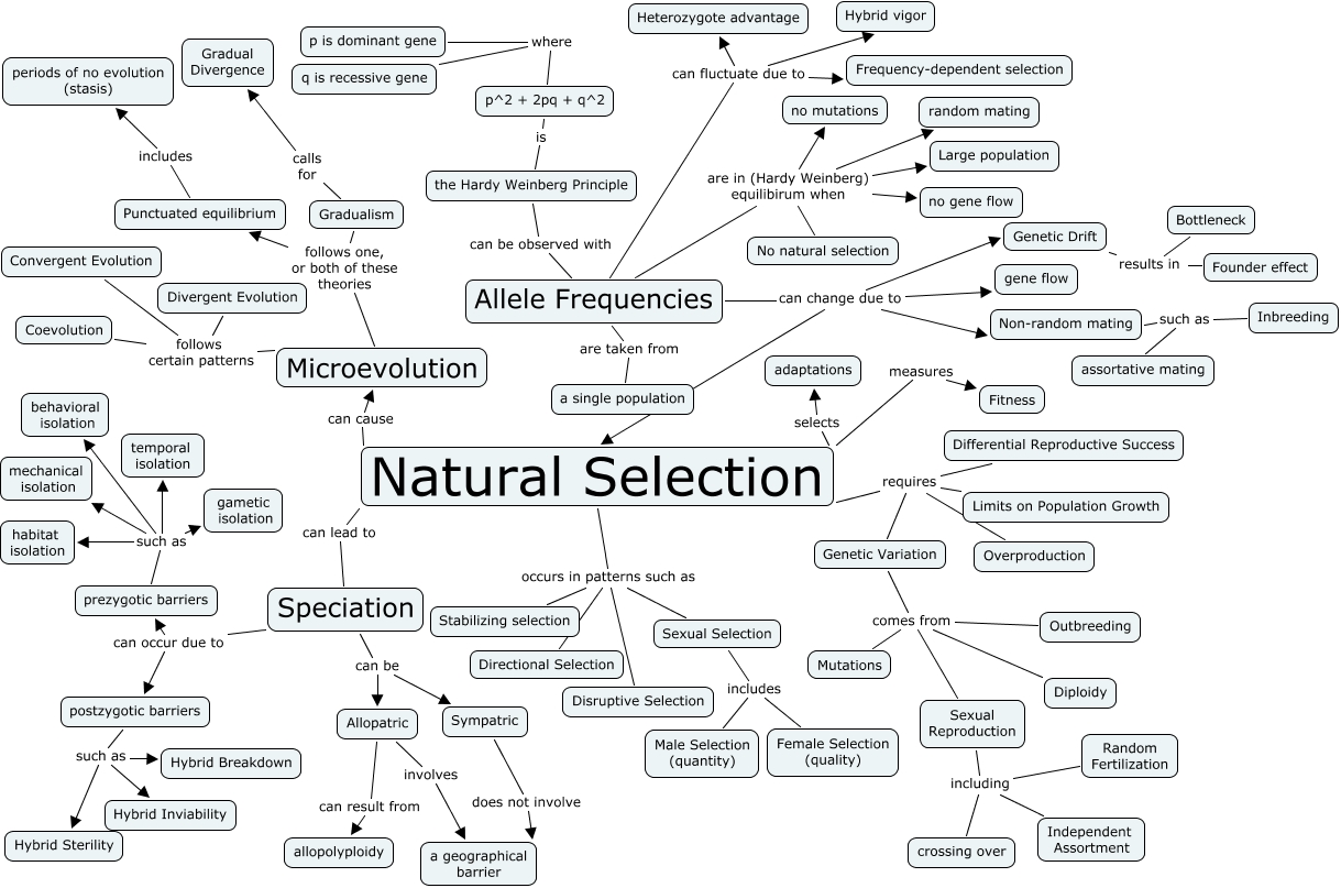 Natural Selection Maps 8