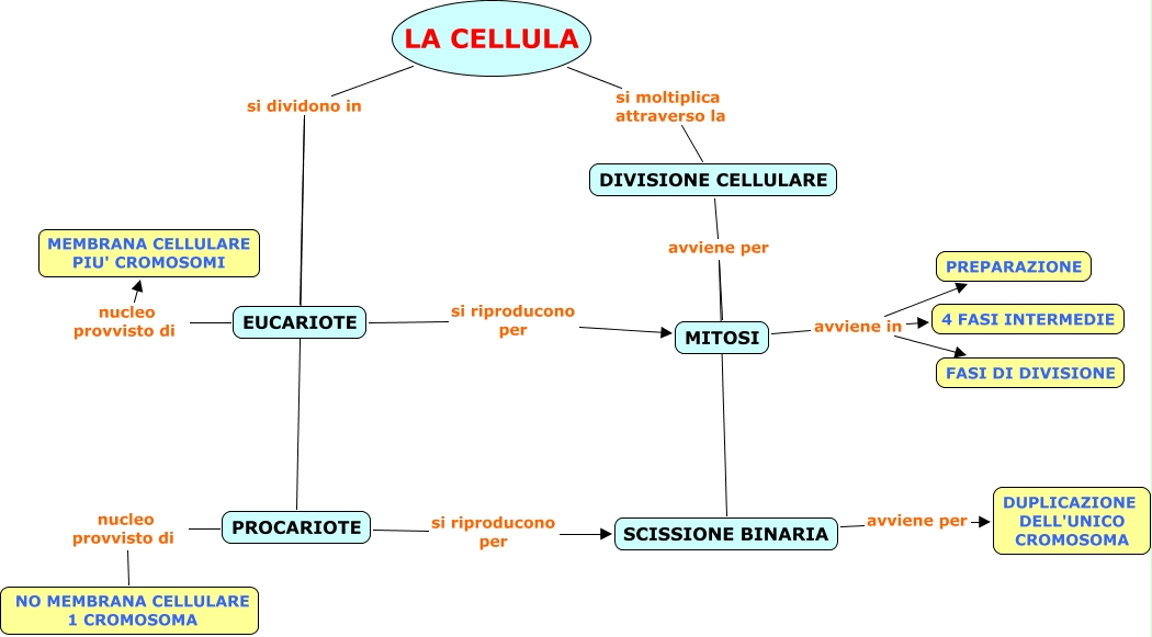 I Caratteristiche Delle Cellule Lessons Blendspace