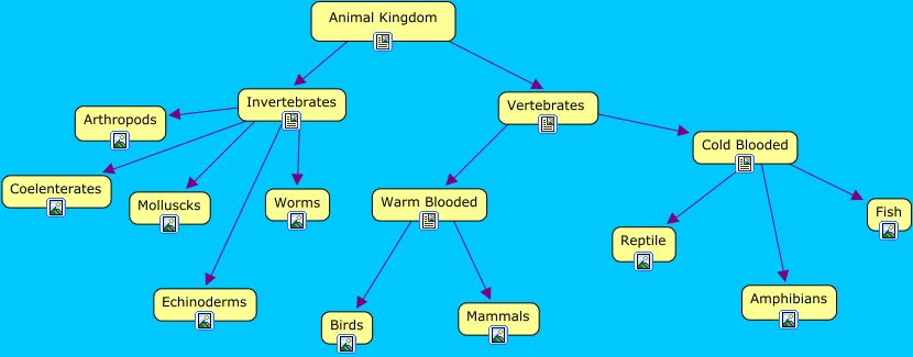 Classify Animals - Lessons - Blendspace