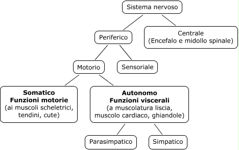 Gennaio 12