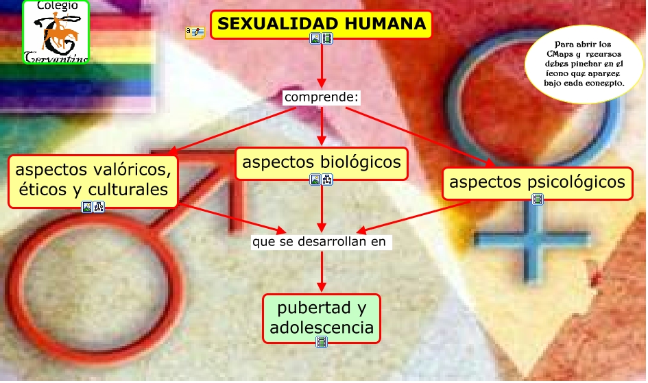 2 1 Sexualidad Humana