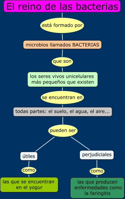 Resultado de imagen de reino de las bacterias