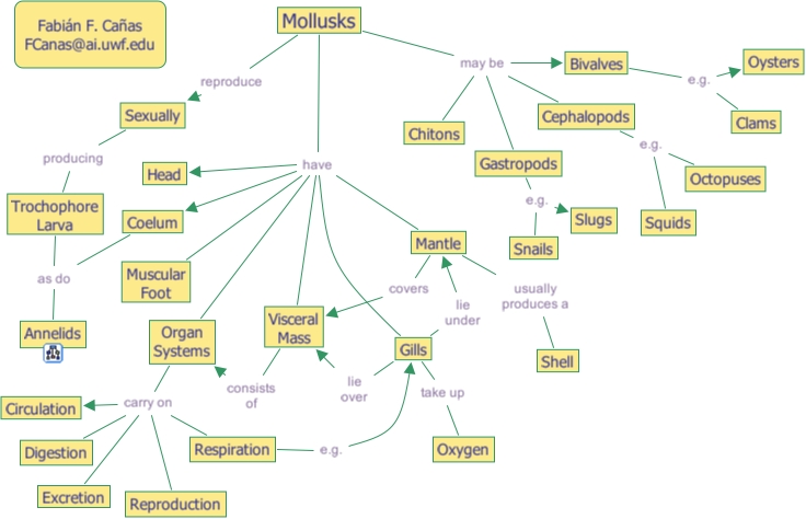 IHMC CmapTools - Concept Map :: Mollusks
