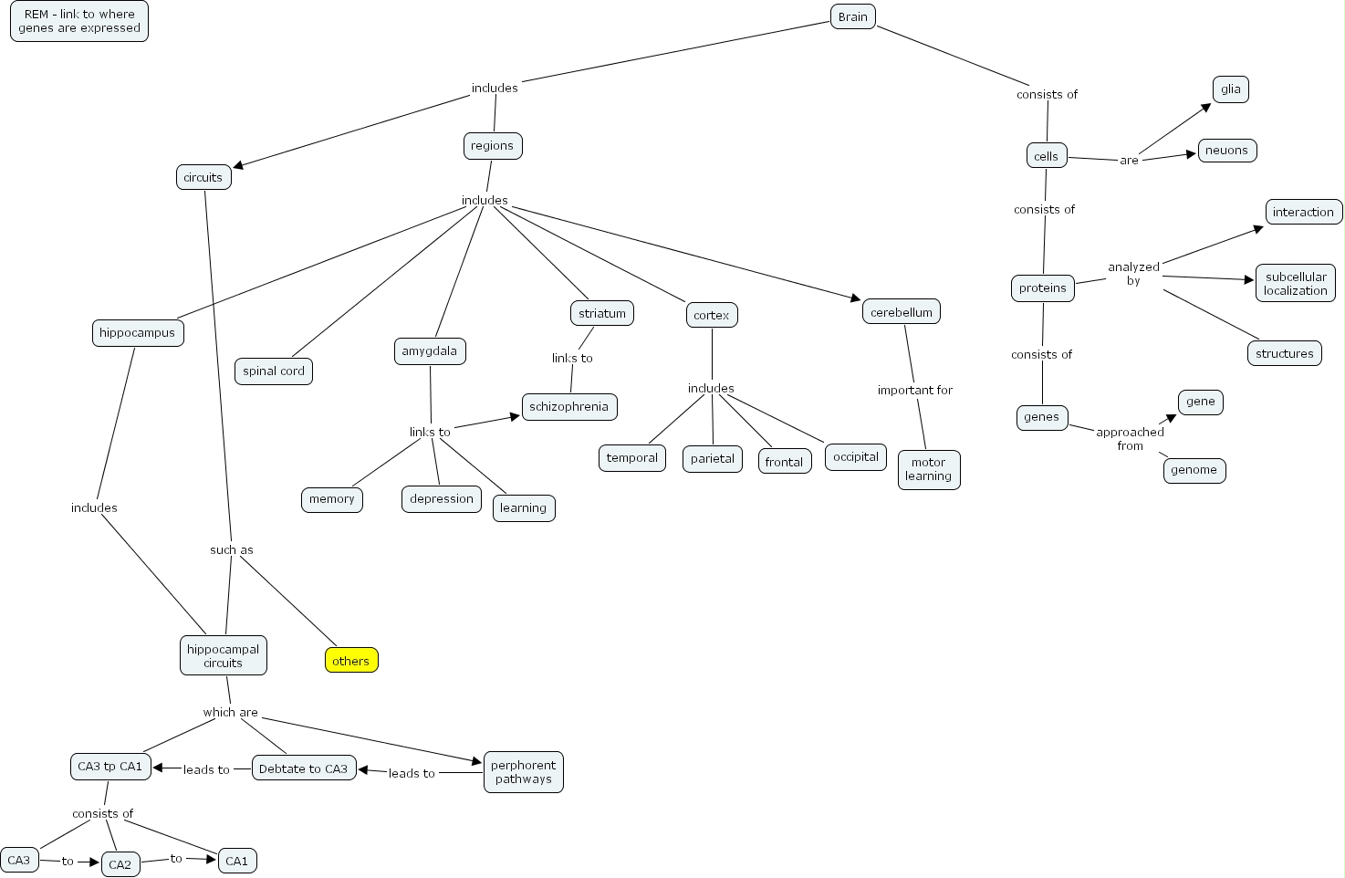 IHMC CmapTools Concept Map Nervous systems