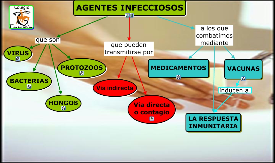 1 1 Enfermedades Infecciosas