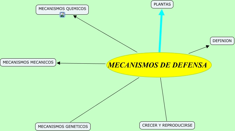 Mapa Conceptual Mecanismos De Defensa 3345