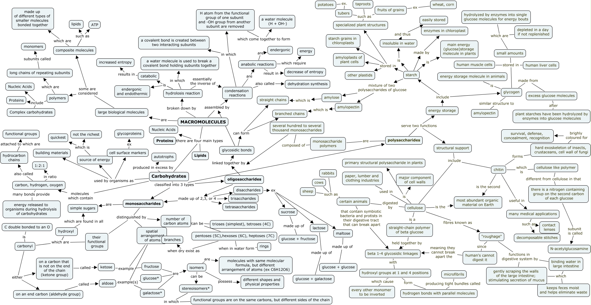 MACROMOLECULE
