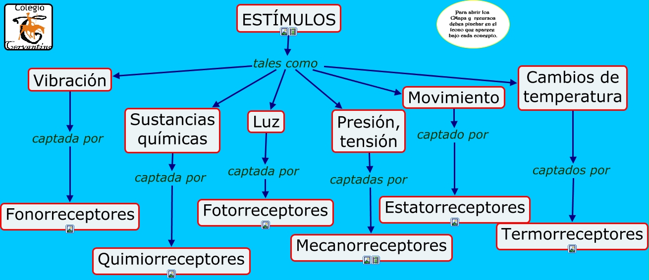 1.2 ESTÍMULOS