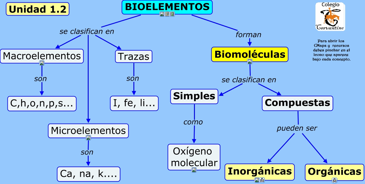 12 BiomolÉculas