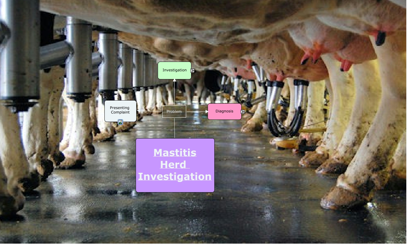 mastitis