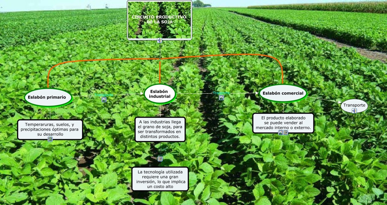 Circuito Productivo De La Soja