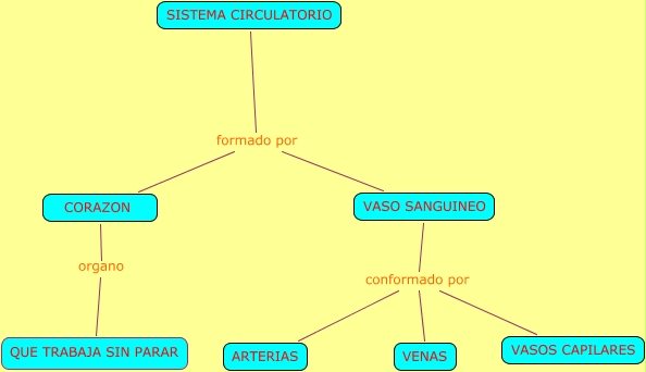 Sistema Circulatorio