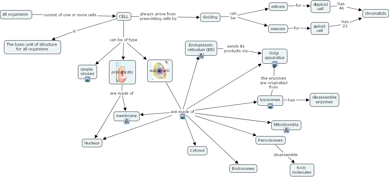 IHMC CmapTools - Concept Map :: cell_main