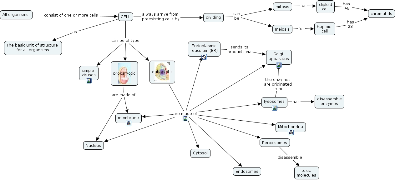 IHMC CmapTools - Concept Map :: cell_main