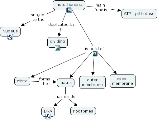 IHMC CmapTools - Concept Map :: mitochondria