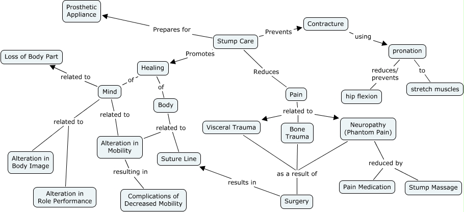 Stump Care - What is the Purpose of Stump Care?