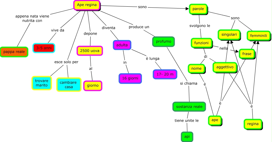 mappa dell'ape regina