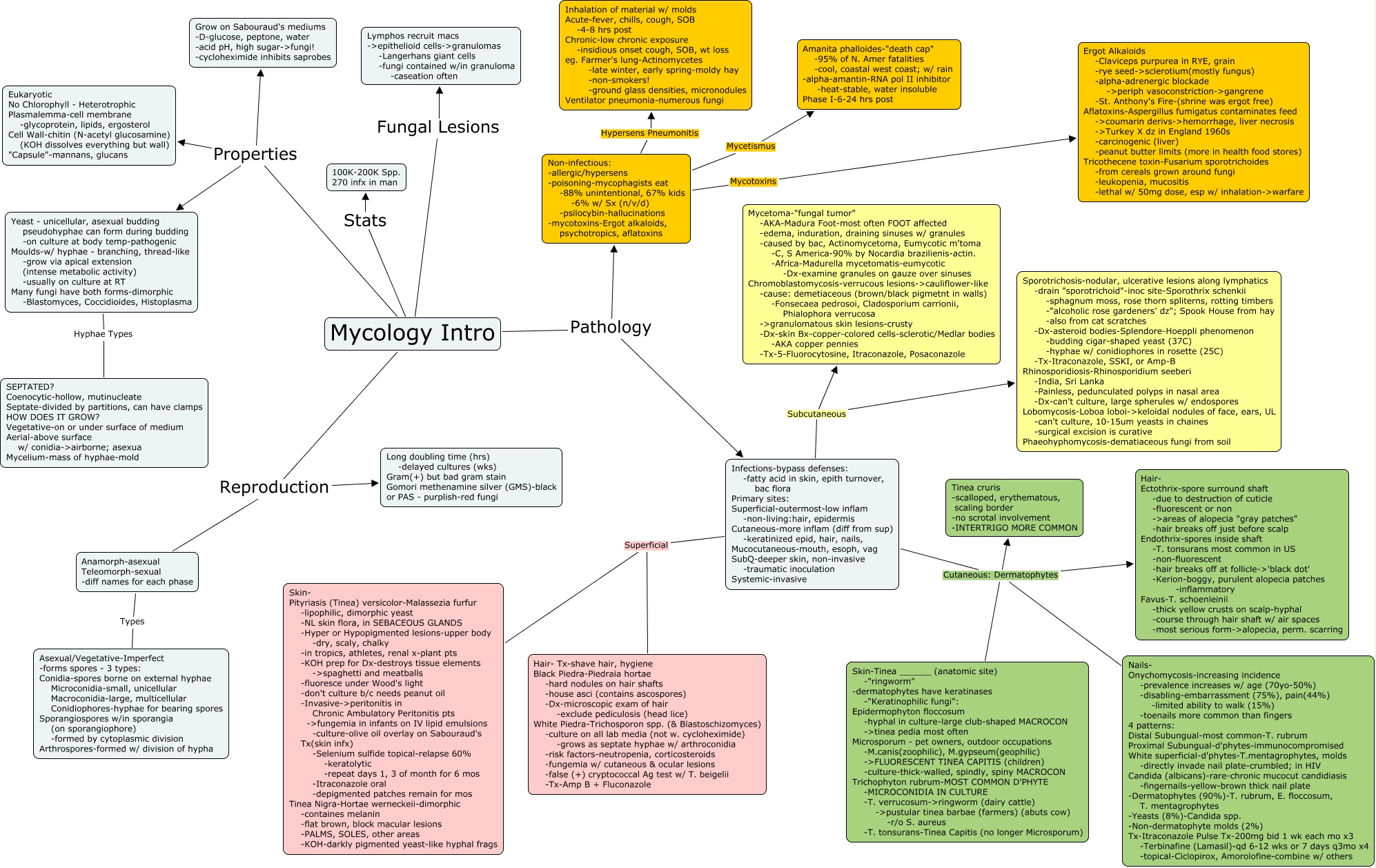 Mycology Intro