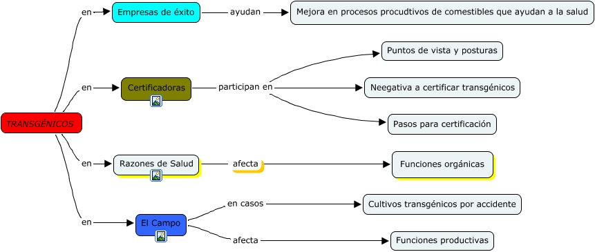 Transgéncos ¿cómo Afectan Los Transgénicos 3291