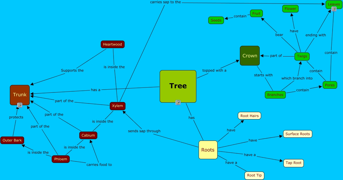 Tree Cmap