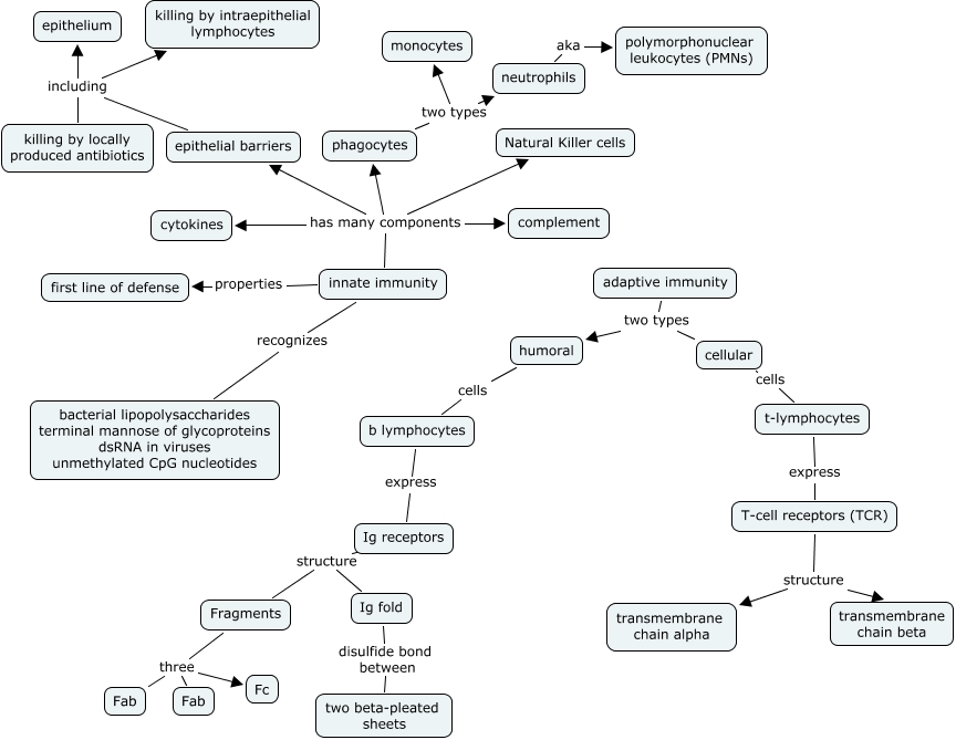 innate immunity