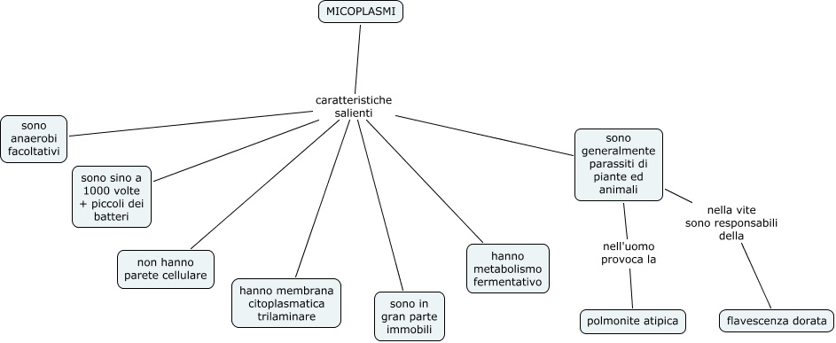 04.3 I Micoplasmi