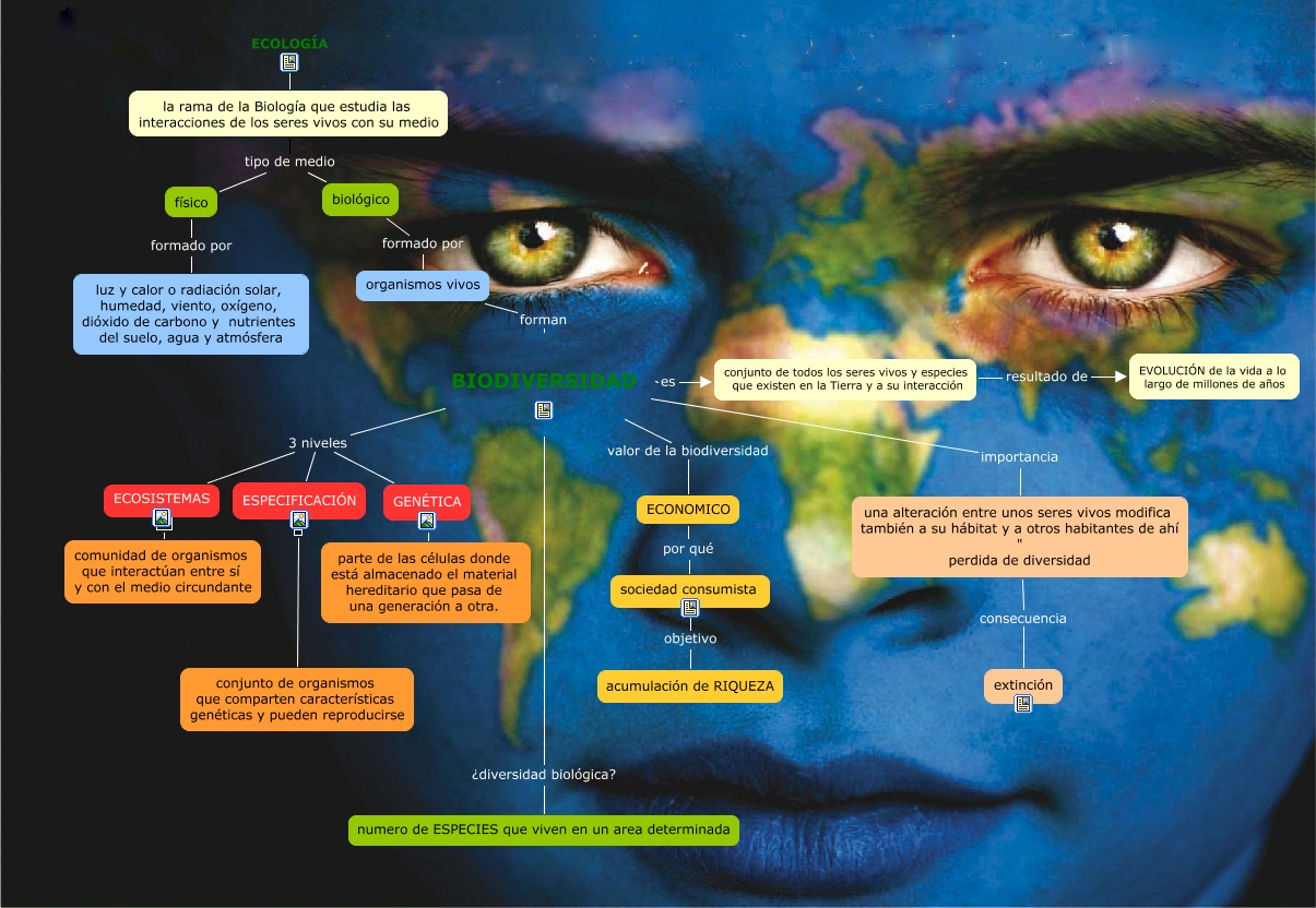 MAPA CONCEPTUAL CCNNyD (BIODIVERSIDAD)