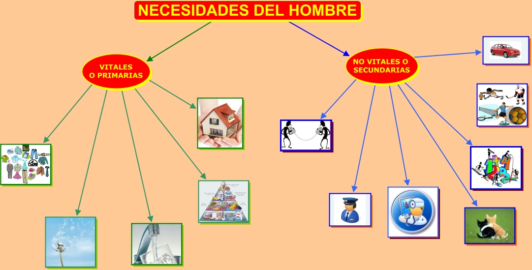 NECESIDADES