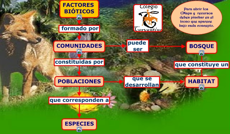 FACTORES BIÓTICOS