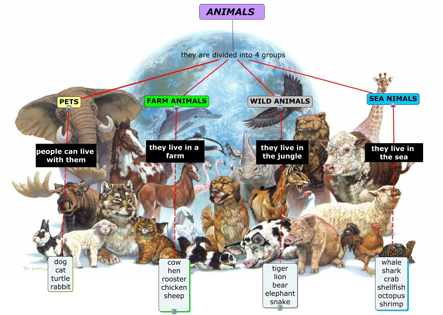 animals