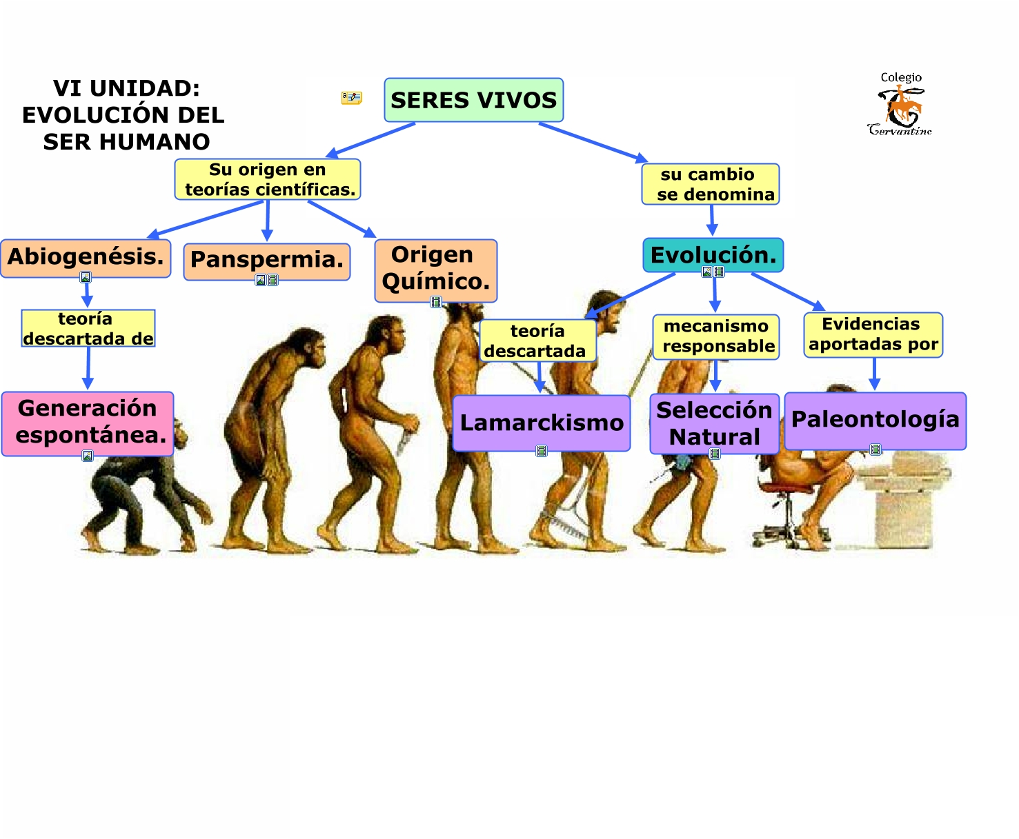 Teoria de la evolucion del hombre