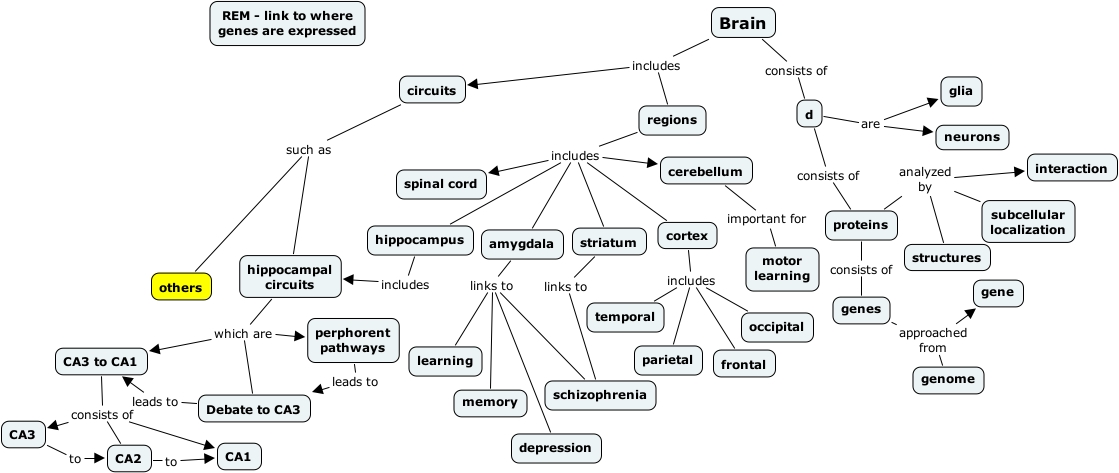 brain JDN Revision