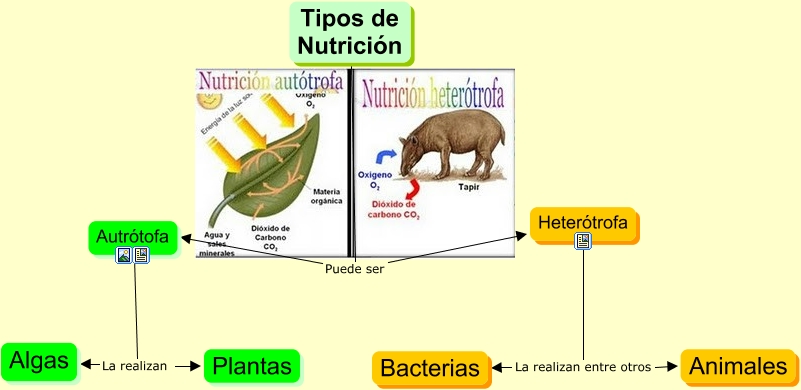 nutrición