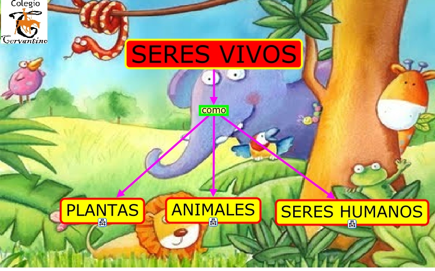 SERES VIVOS MAPA