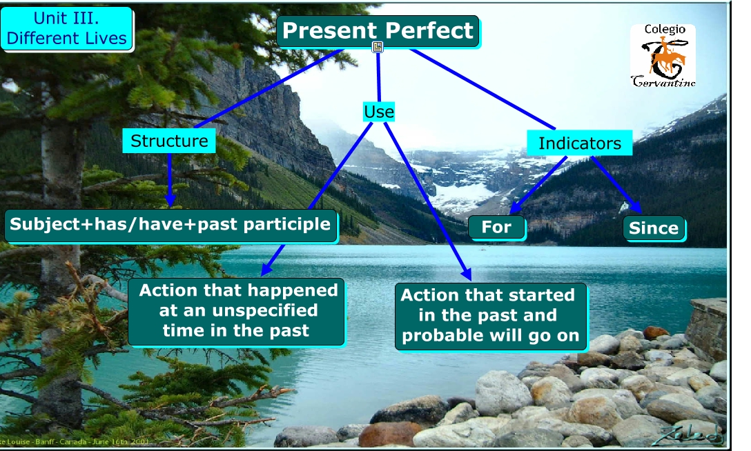 present perfect 8