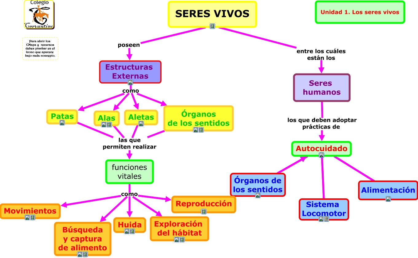 Unidad 1. Los seres vivos