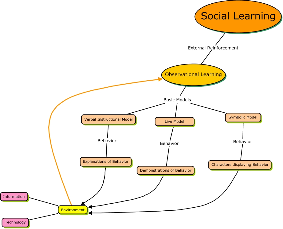Week 4 in progress 2 - Social Learning