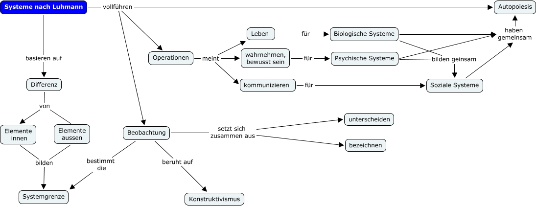 Systeme nach Luhmann