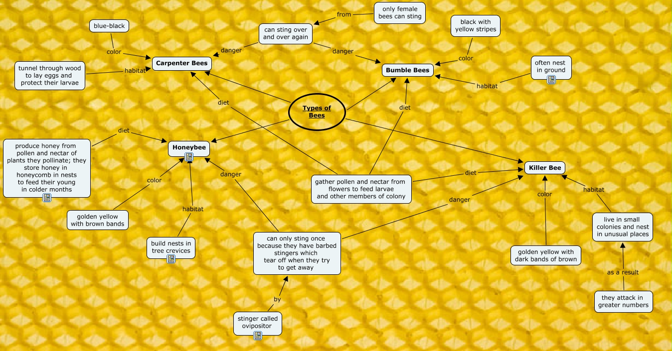 Types of Bees