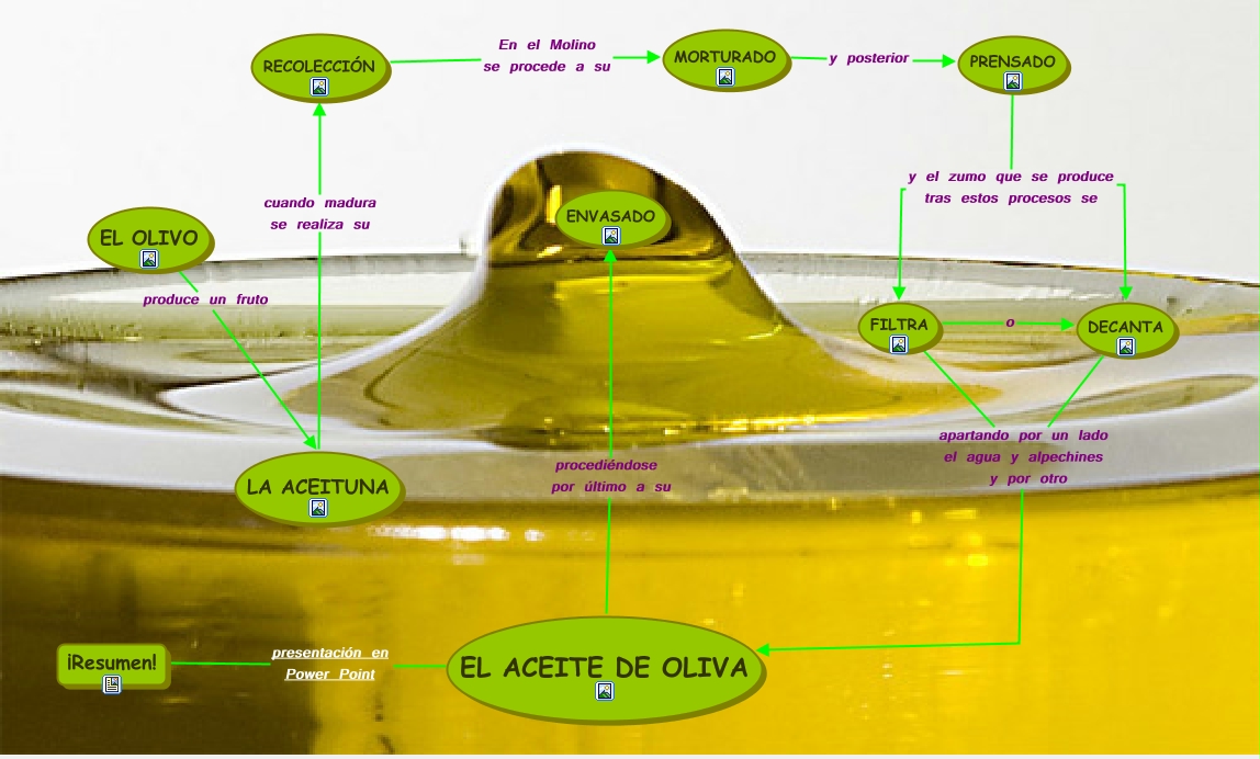 Proceso Básico del Aceite de oliva