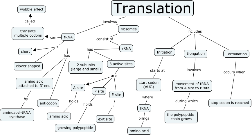 translation
