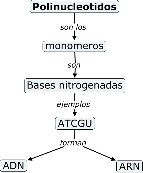 Polinucleotidos